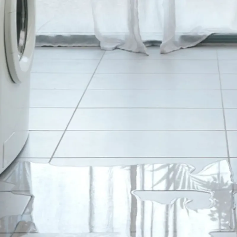Appliance Leak Cleanup in Saint Helen, MI