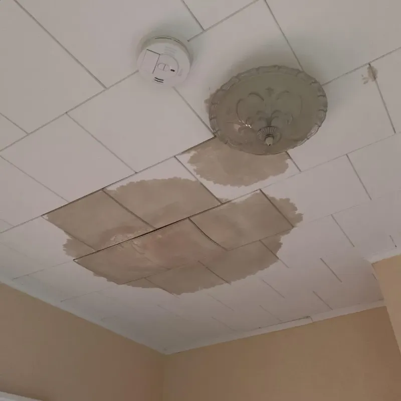 Ceiling Water Damage Repair in Saint Helen, MI