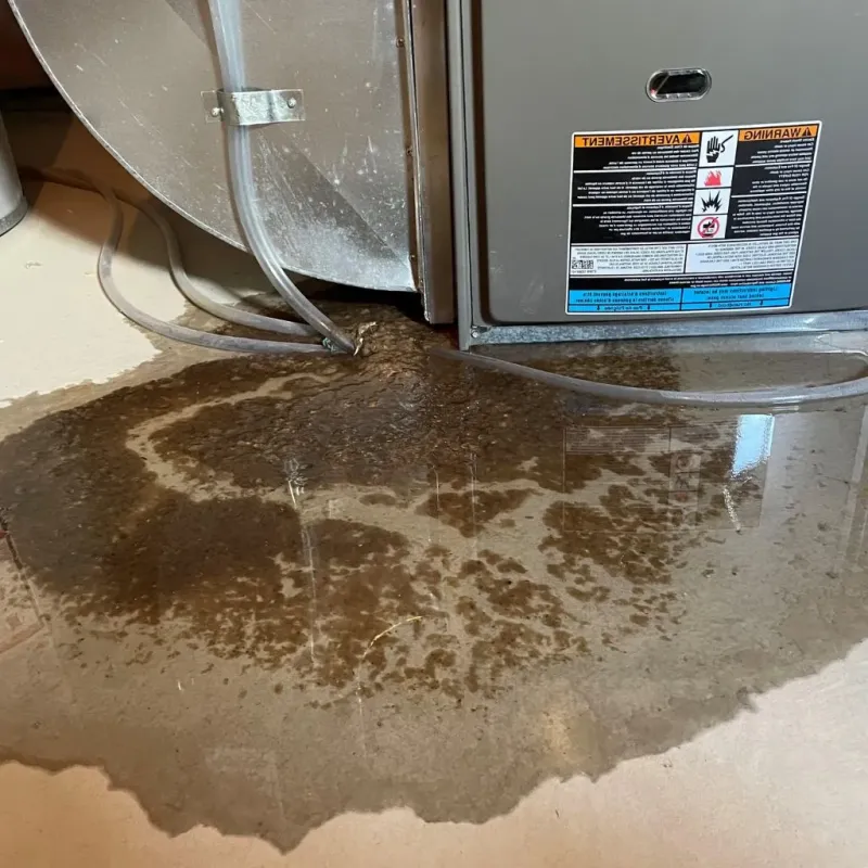 Pipe Burst and Leak Restoration in Saint Helen, MI