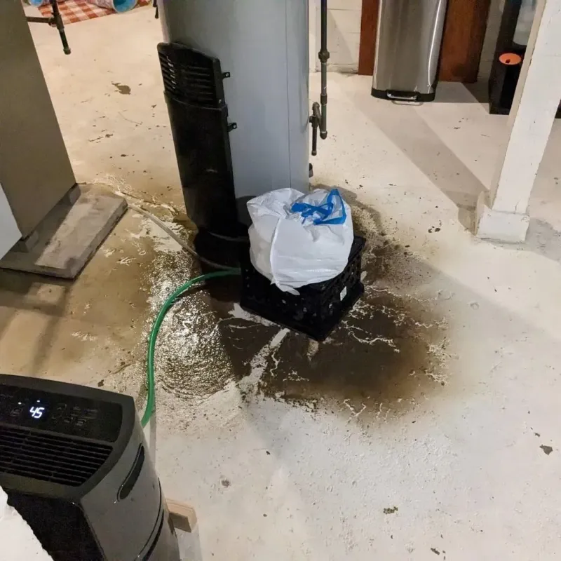 Sewage Backup Cleanup Service in Saint Helen, MI